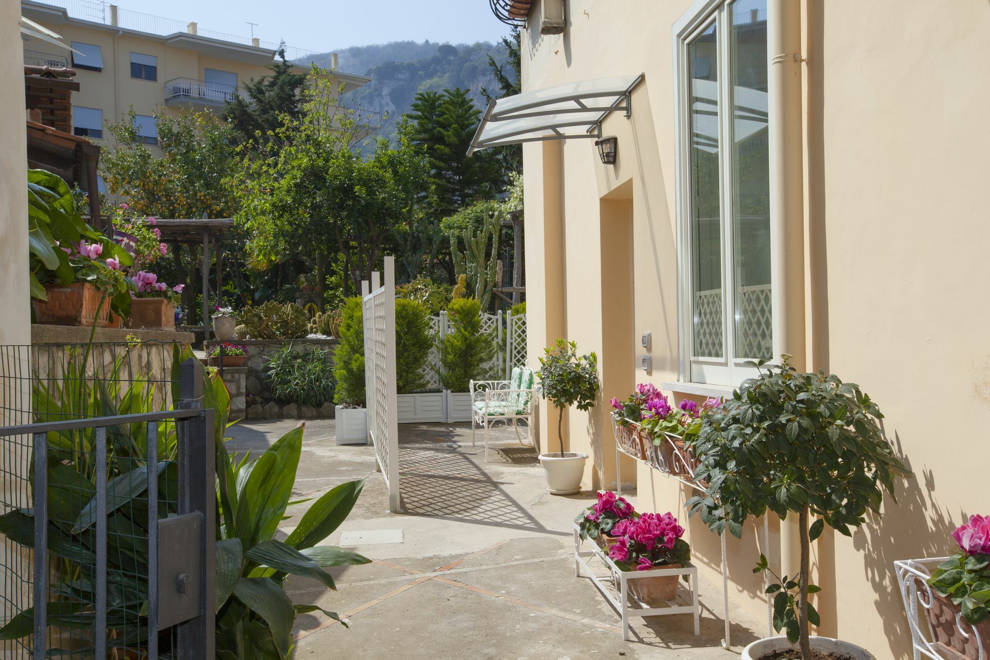Dreaming Sorrento Suites Exterior photo